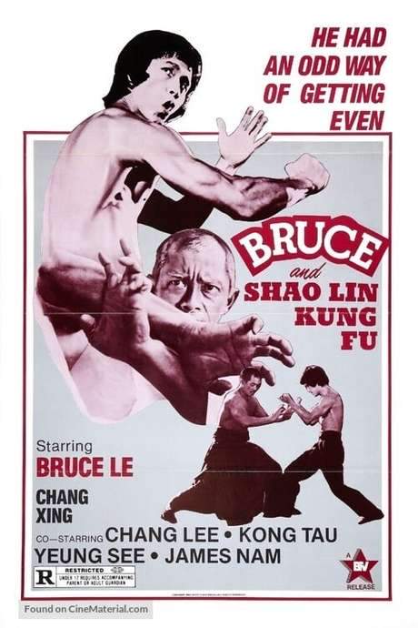 Bruce and Shaolin Kung Fu (1977) movie poster