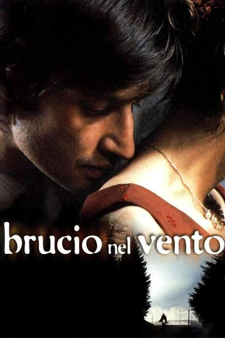 Brucio nel vento (2002) movie poster