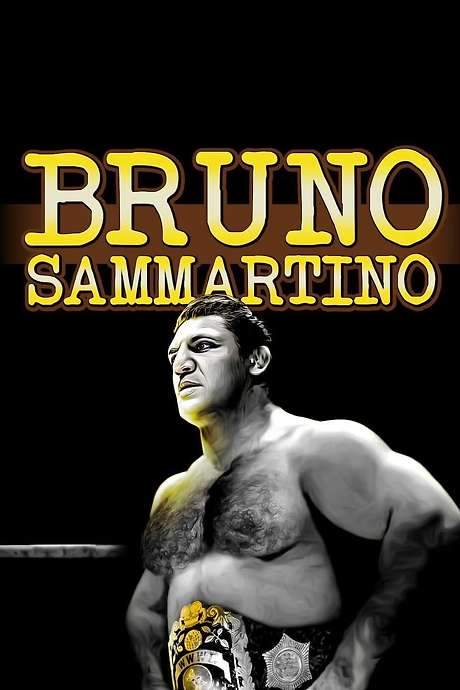 Bruno Sammartino (2019) movie poster