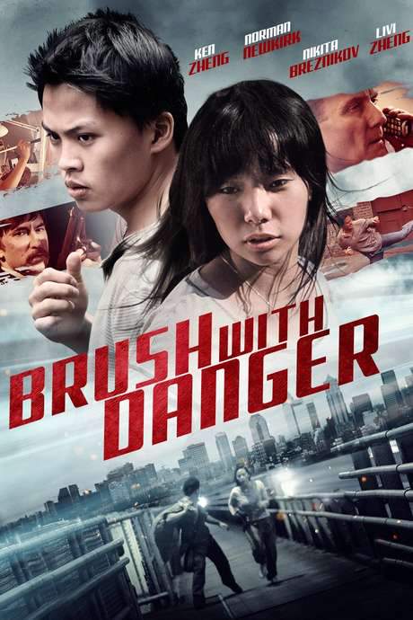 Brush with Danger (2014) movie poster