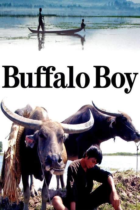 Buffalo Boy (2004) movie poster