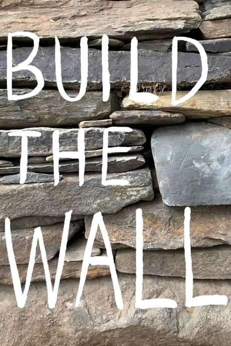 Build the Wall (2020) movie poster
