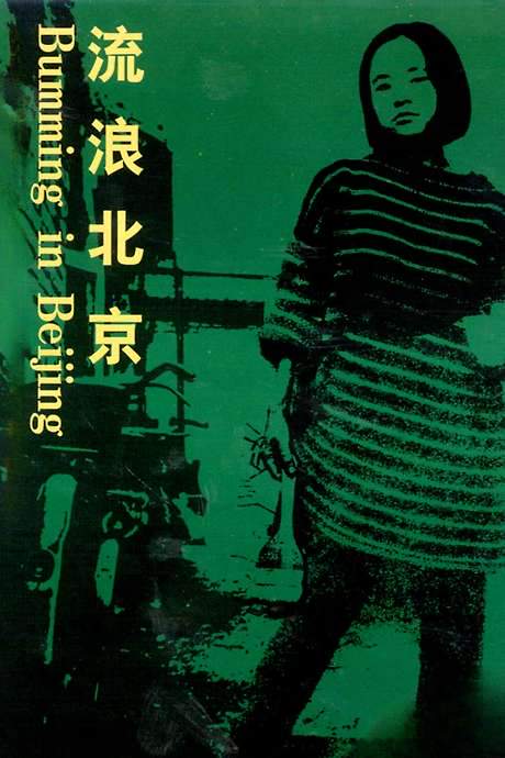 Bumming in Beijing: The Last Dreamers (1990) movie poster