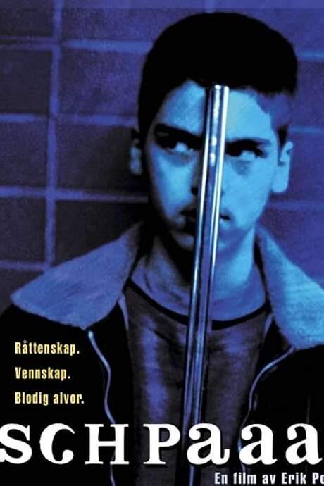 Bunch of Five (1998) movie poster