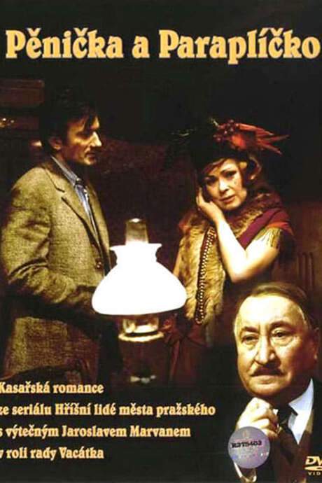 Burglar and Umbrella (1971) movie poster