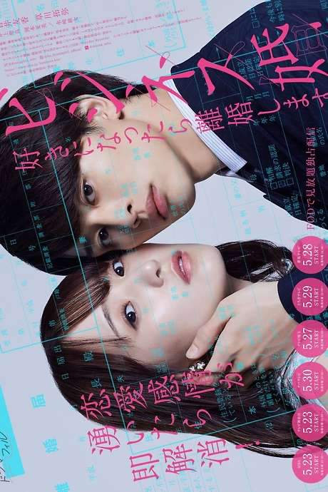 Business Marriage (2024) movie poster