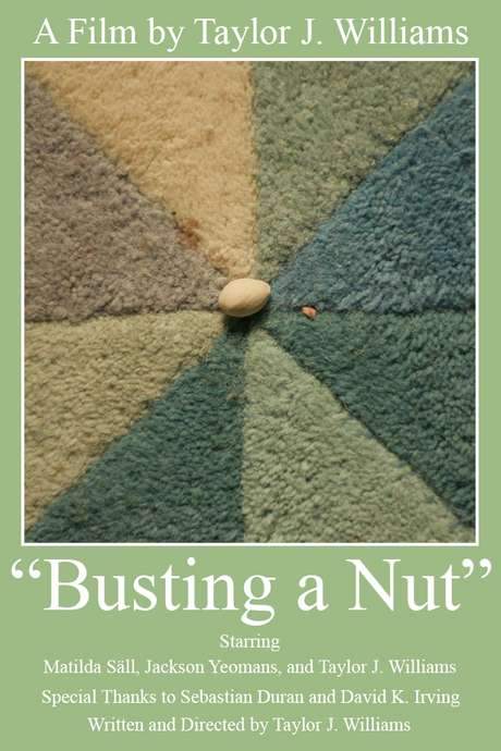 Busting a Nut (2019) movie poster