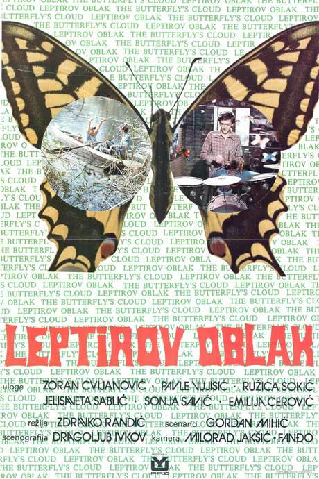 Butterfly Cloud (1977) movie poster