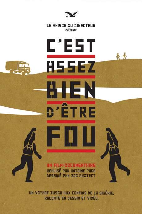 C’est assez bien d’être fou (2018) movie poster