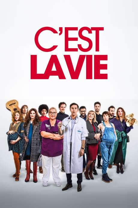 C’est la vie (2020) movie poster