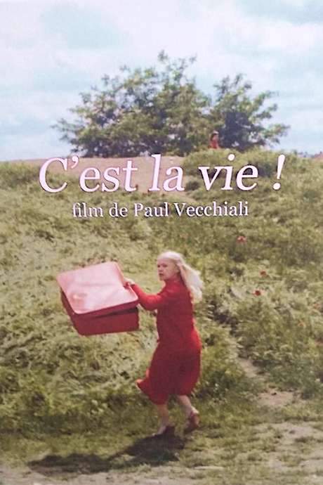 C’est la vie ! (1980) movie poster