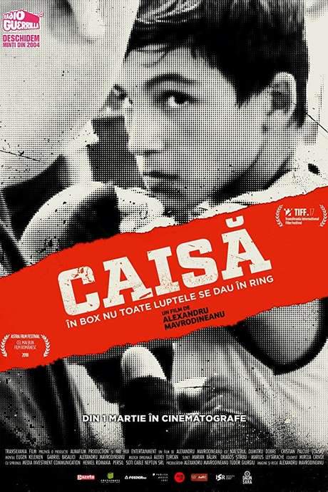    After being betrayed by the one he forged into a boxing World Champion, Dobre, a veteran boxing coach, devotes himself to train his new pupil Caisă.  