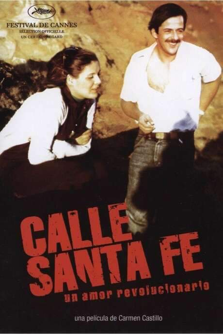 Calle Santa Fe (2007) movie poster