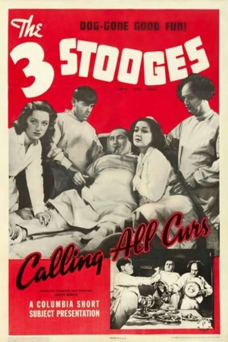 Calling All Curs (1939) movie poster