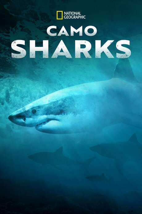 Camo Sharks (2022) movie poster