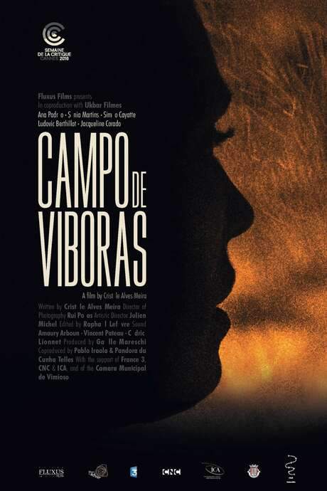 Campo de Víboras (2016) movie poster