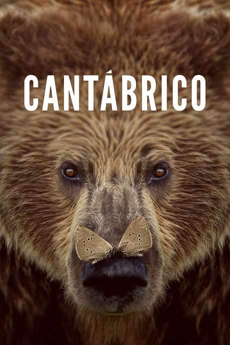 Cantábrico (2017) movie poster