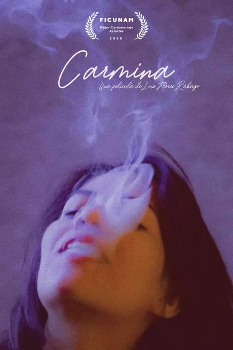 A young woman named Carmina hopes for a typical evening out, but a chance invitation from an older man leads her on an unexpected and emotionally charged journey. Visiting his apartment, she is confronted with a turbulent past and a raw exploration of power dynamics. The film presents a direct and intimate portrayal of a complex, real-life situation.