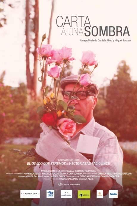 Carta a una sombra (2015) movie poster