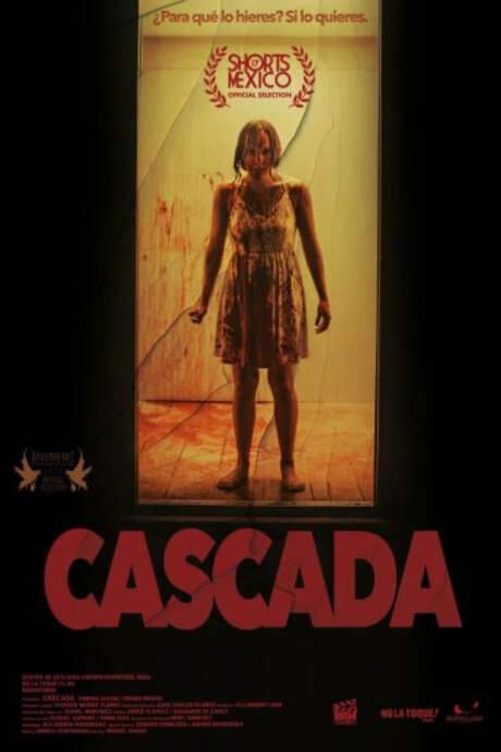 After a strong fight, Lidia stabs her boyfriend, when she sees him bloodied, she kneels to ask for forgiveness