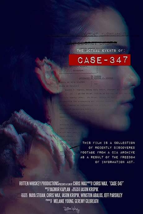 Case 347 (2020) movie poster