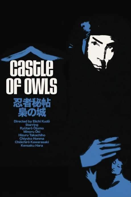 Castle of Owls (1963) movie poster