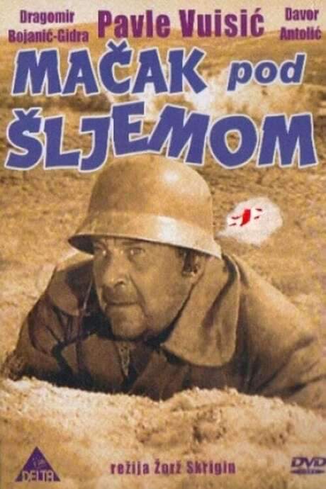 Cat Under a Helmet (1962) movie poster