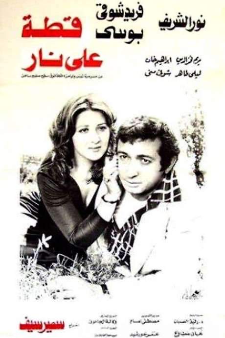 Cat on Fire (1977) movie poster