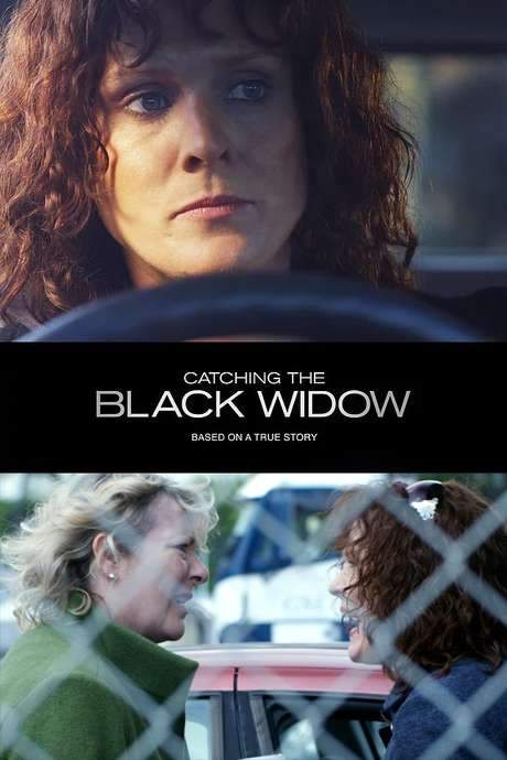 Catching the Black Widow (2017) movie poster