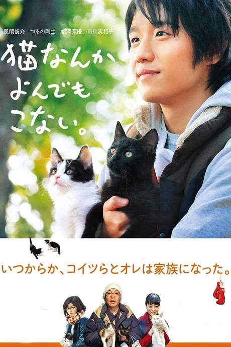 Cats Don’t Come When You Call (2016) movie poster