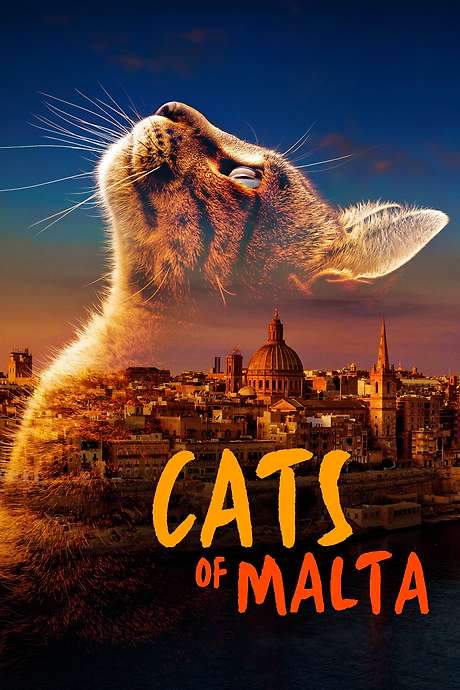 Cats of Malta (2022) movie poster