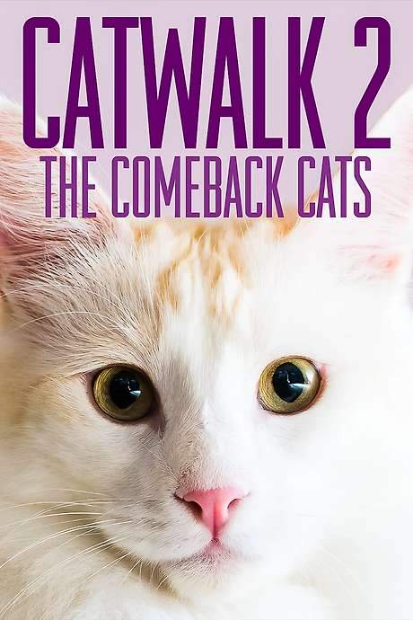 Catwalk 2: The Comeback Cats (2022) movie poster