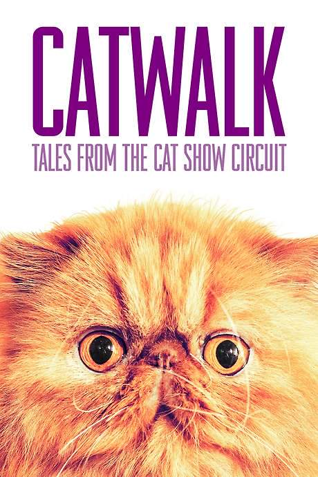 Catwalk: Tales from the Catshow Circuit (2018) movie poster