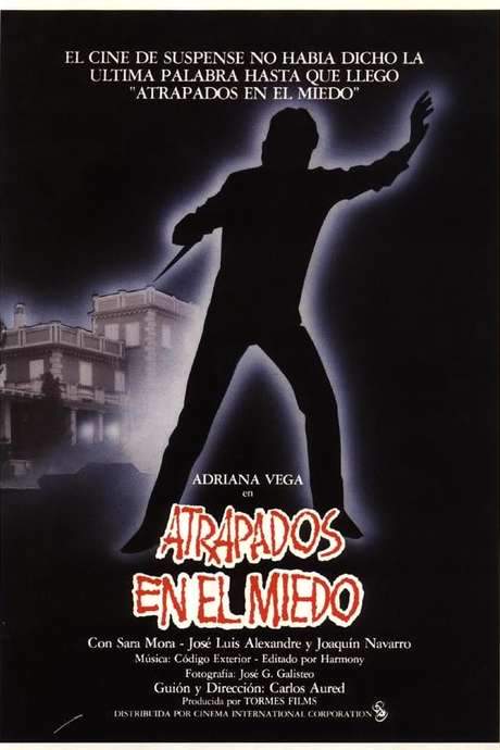 Caught in Fear (1985) movie poster