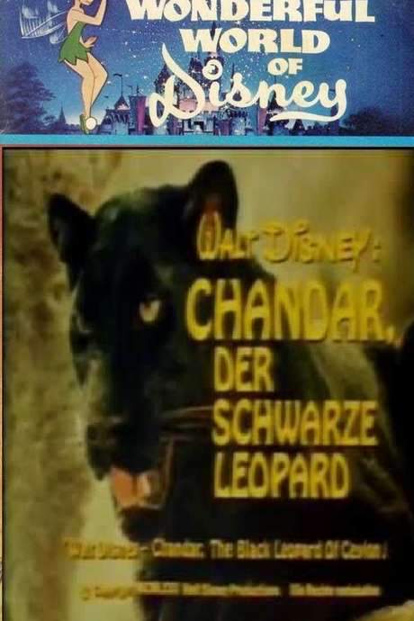 Chandar, the Black Leopard of Ceylon (1972) movie poster
