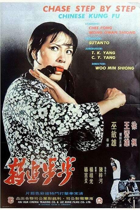 Chase Step By Step (1974) Spoiler-Free Movie Summary & Plot Overview