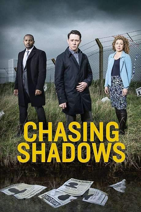 Chasing Shadows (2014) movie poster