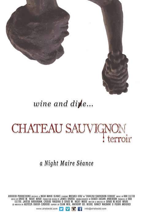 Chateau Sauvignon: terroir (2015) movie poster