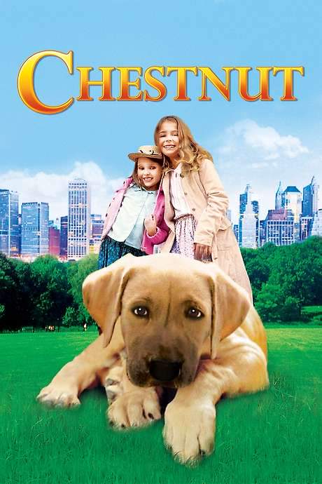 Chestnut: Hero of Central Park (2004) movie poster