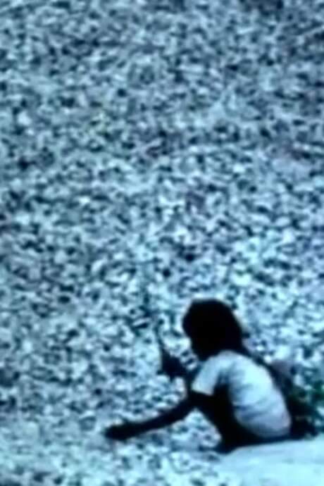 Based on a true story, the film delves into caste dynamics in a drought‑stricken rural Indian village. Drawing from a three‑line news report, it expands into a lyrical narrative that examines the trauma of difficult choices and follows the community’s struggle toward resolution, social change and reform.