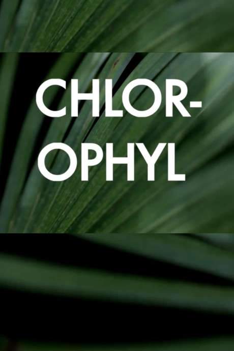 Chlorophyl