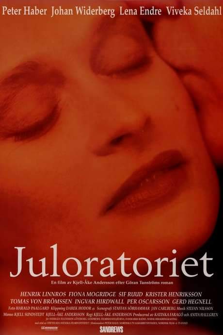 Christmas Oratorio (1996) movie poster