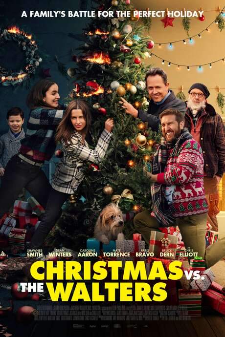 Christmas vs The Walters (2021) movie poster