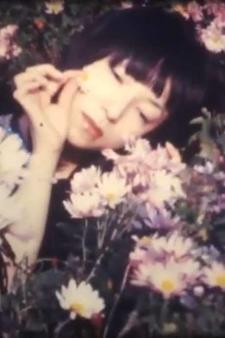 Chrysanthemum Inspiration (2005) movie poster