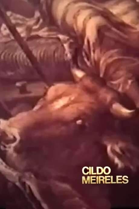 Cildo Meireles (1979) movie poster