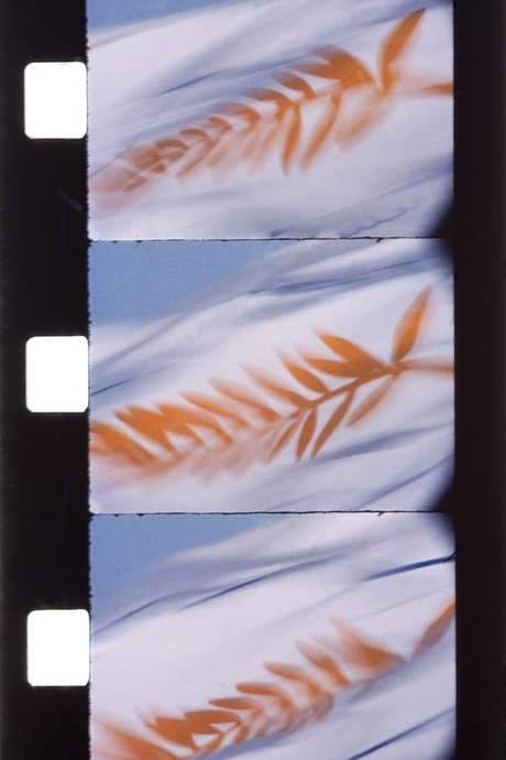 Citron pressé au Blue Bar (1984) movie poster