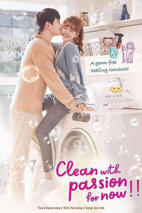 Clean with Passion for Now (2018) movie poster