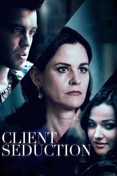 Client Seduction (2014) movie poster