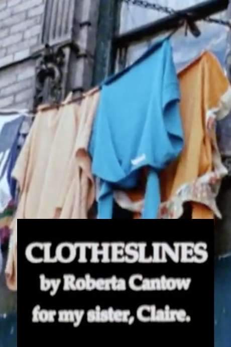 The film treats laundry as a serious subject, presenting it as folk art and a complex social symbol. Through the perspective of women, it explores how washing clothes becomes a lens to examine the joys, frustrations and contradictions inherent in household labor.