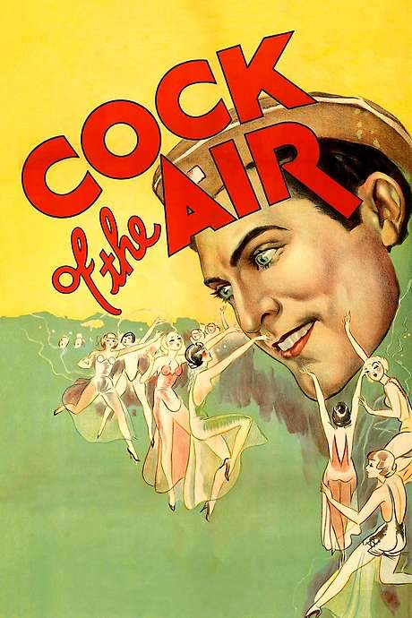 Cock of the Air (1932) movie poster